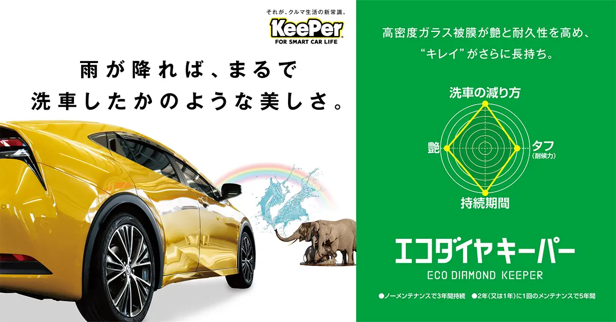 ECO ダイヤモンドキーパー 2セット（Amazon.co.jp: ECO